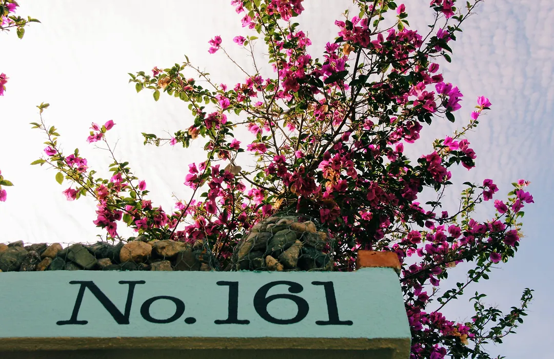 San Tropico Boutique Hotel & Peaceful Escape-1