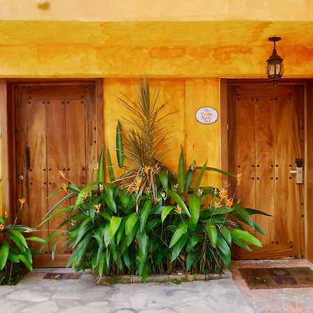 Casa Cupula Lgbt Luxury Resort-2